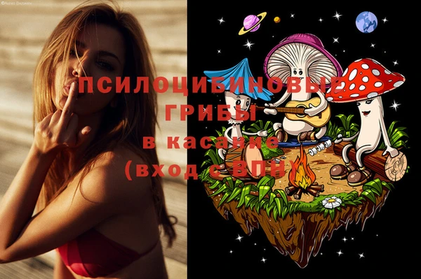 гидропоника Алзамай