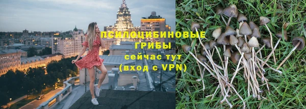эйфоретик Алексин