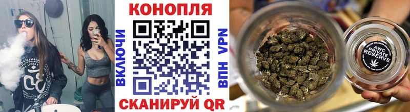 Купить  Судак  Шишки марихуана OG Kush 